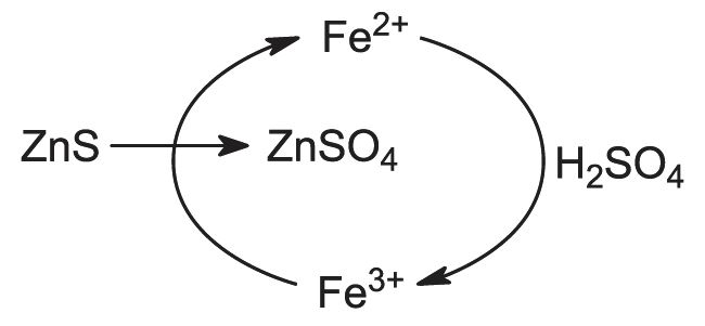 diagram showing the role iron(II) ions in the conversion of zinc sulfide to zinc sulfate.